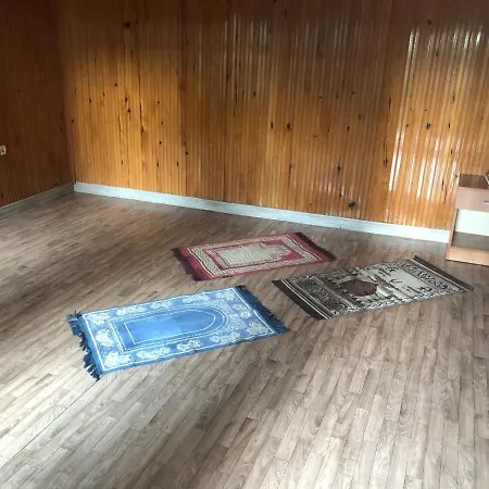 زارها مونتين فندق